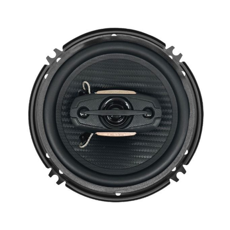 Акустика Celsior CS-16DJ