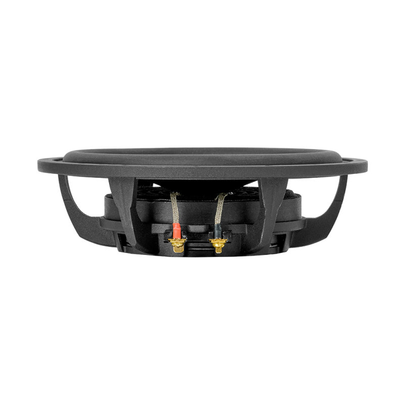 Компонентна акустика DLS Reference RCS6.25