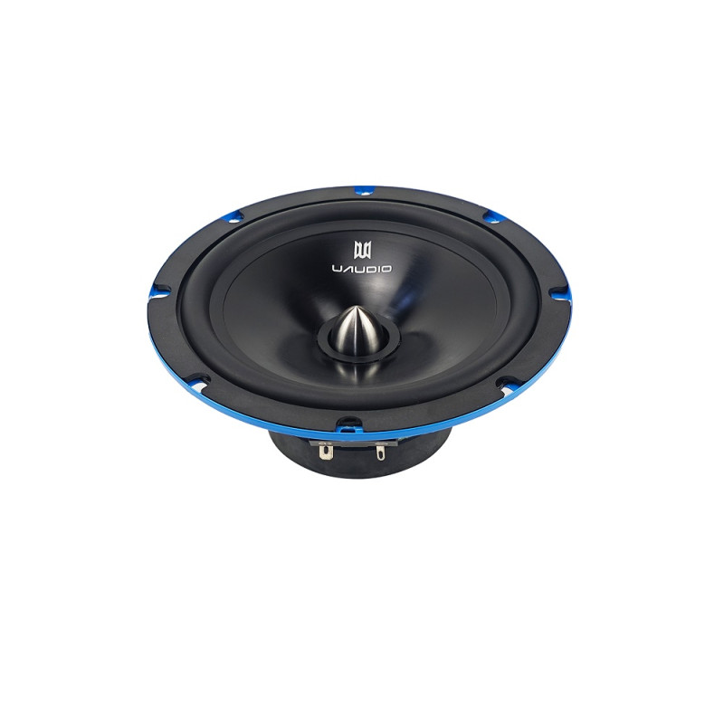 НЧ-СЧ динаміки UAudio Patron PM6