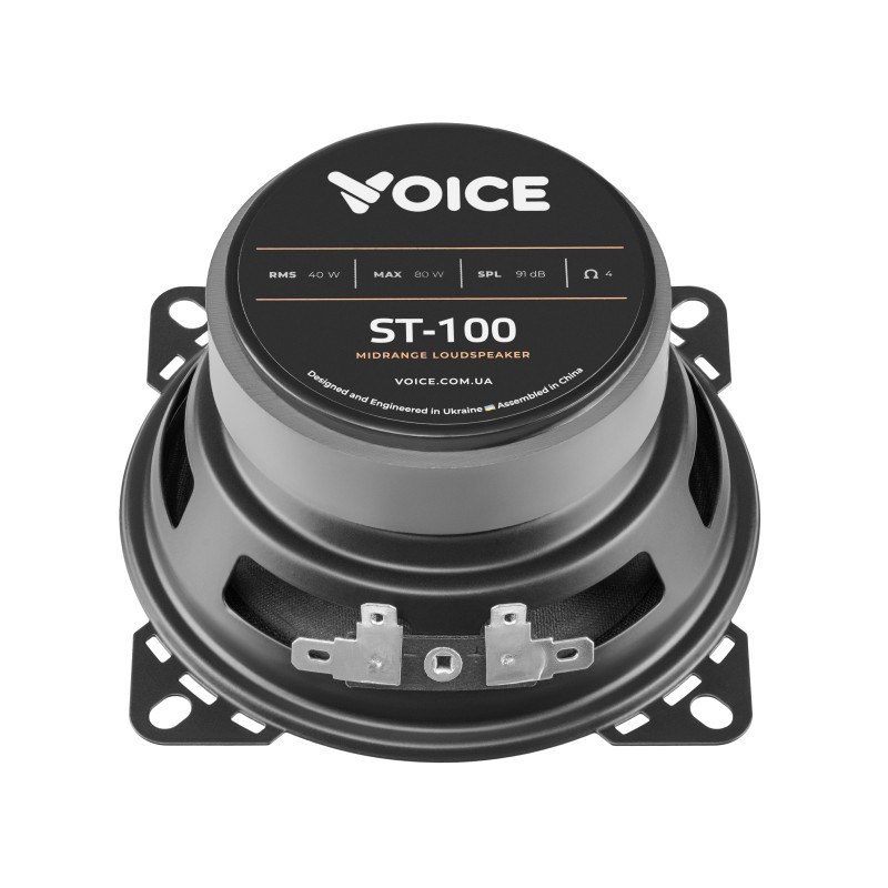 Естрадна акустика Voice ST-100