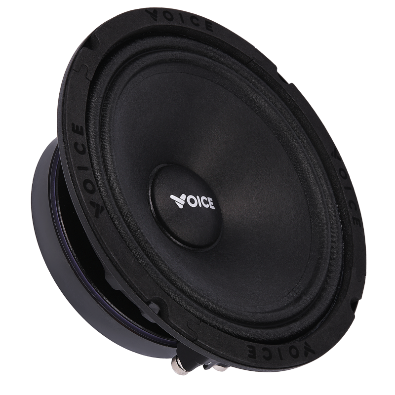 Естрадна акустика Voice SP-65 SQL