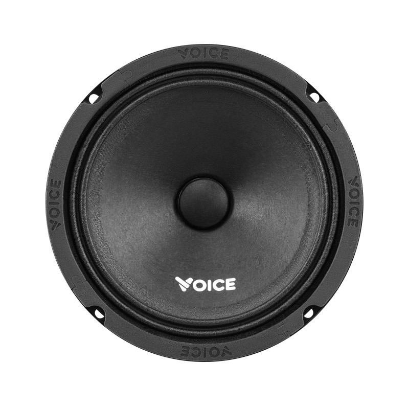 Естрадна акустика Voice ST-165