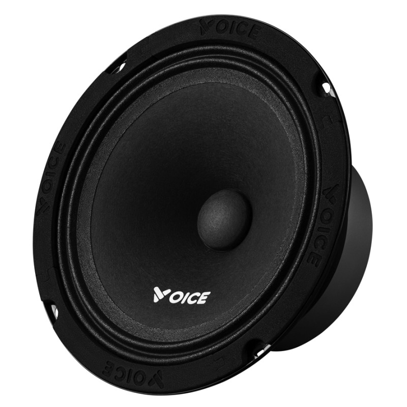 Естрадна акустика Voice PX-165