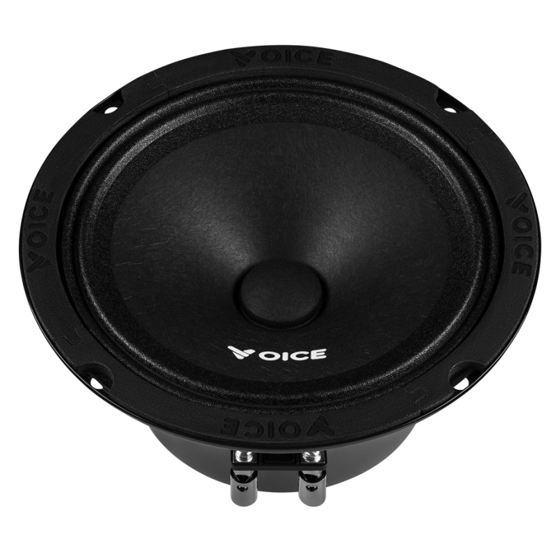Естрадна акустика Voice PX-165
