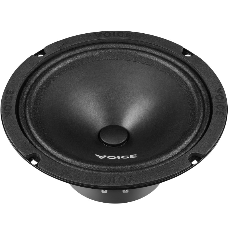 Естрадна акустика Voice ST-200