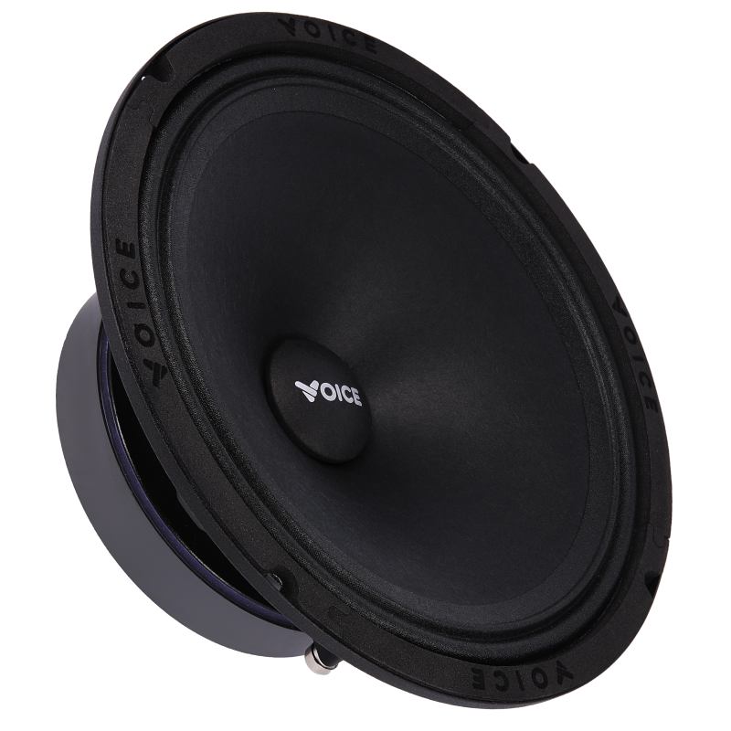 Естрадна акустика Voice SP-80A