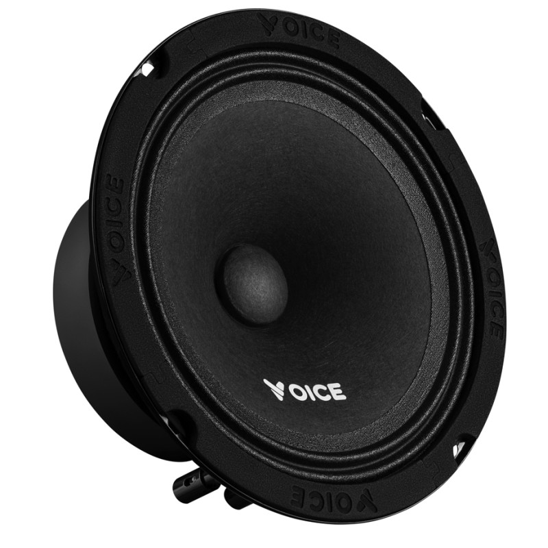 Естрадна акустика Voice PX-165