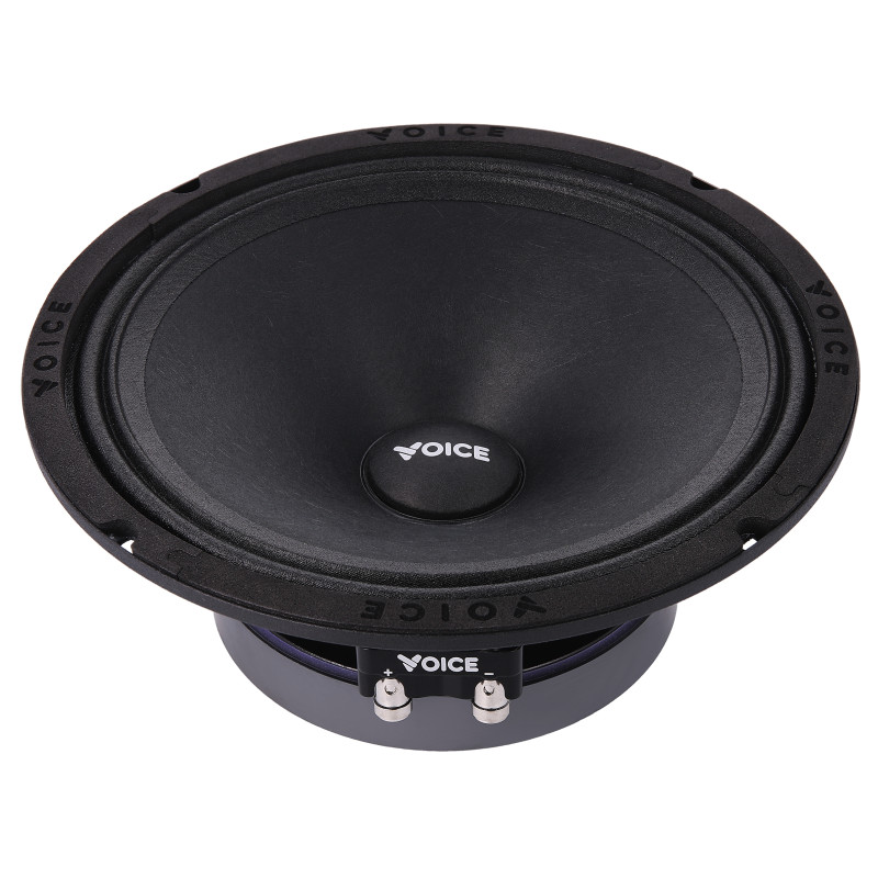 Естрадна акустика Voice SP-80A
