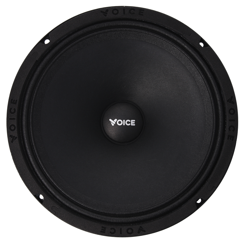 Естрадна акустика Voice SP-80A