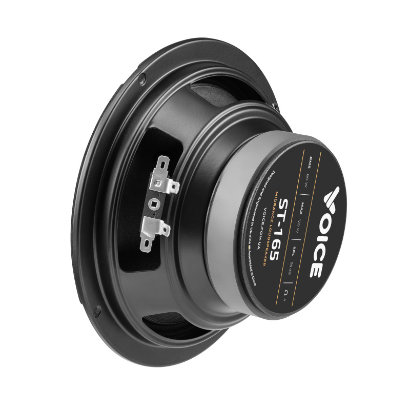 Естрадна акустика Voice ST-165
