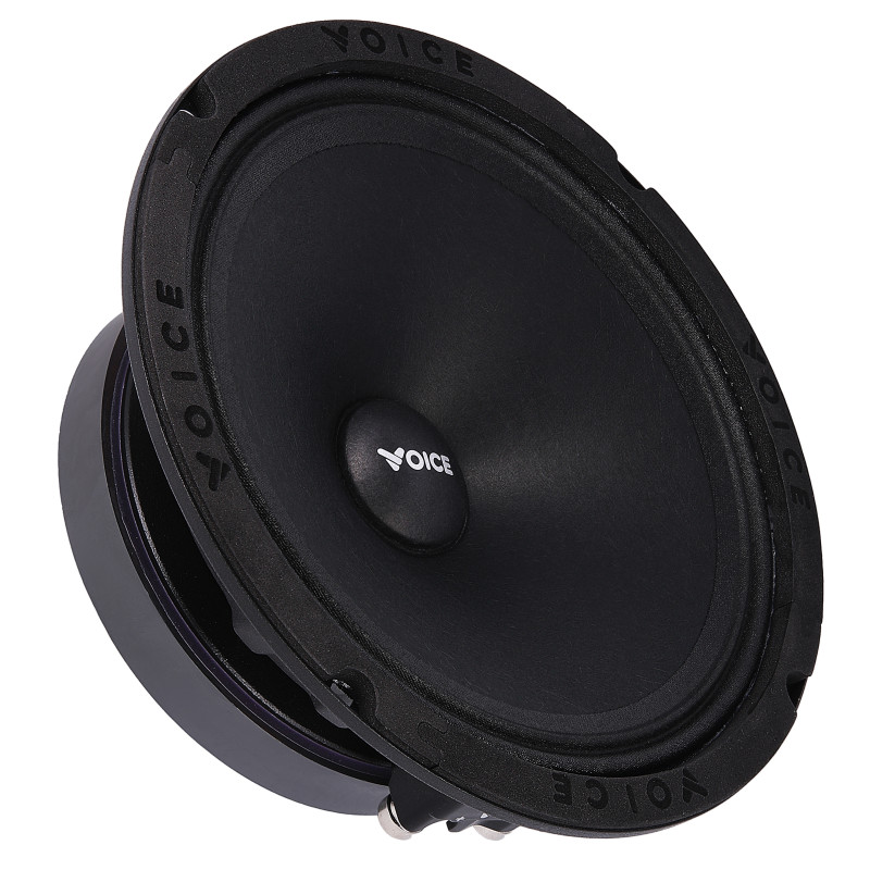 Естрадна акустика Voice SP-60A