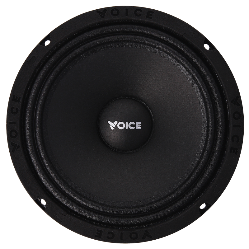 Естрадна акустика Voice SP-65 SQL