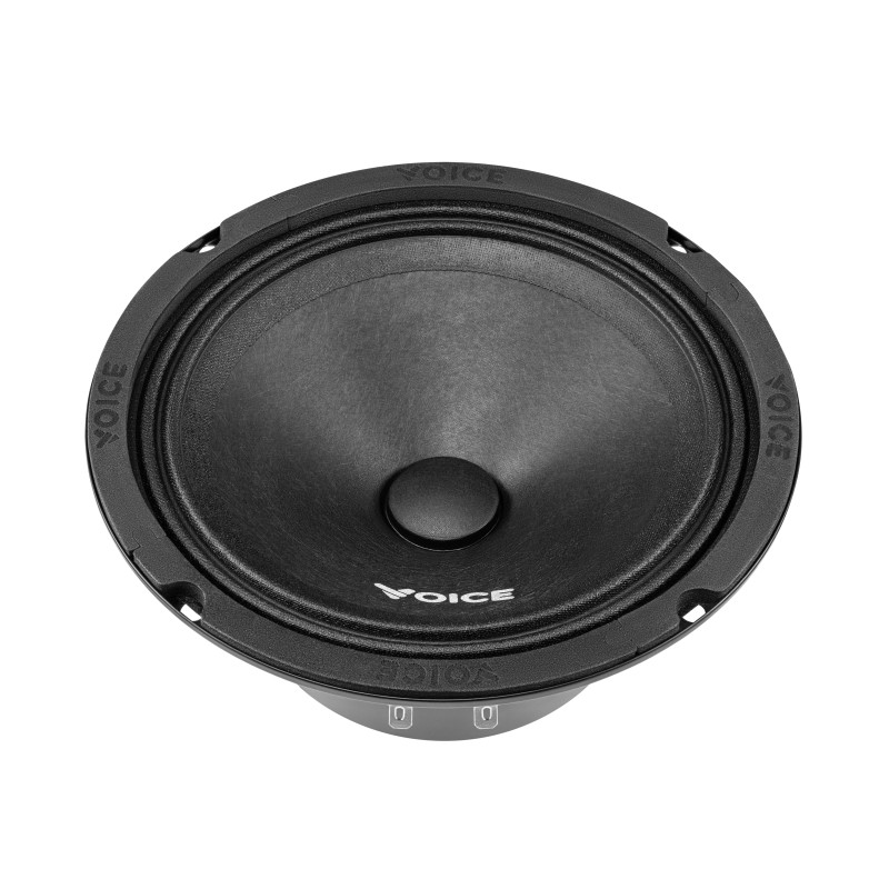 Естрадна акустика Voice ST-165