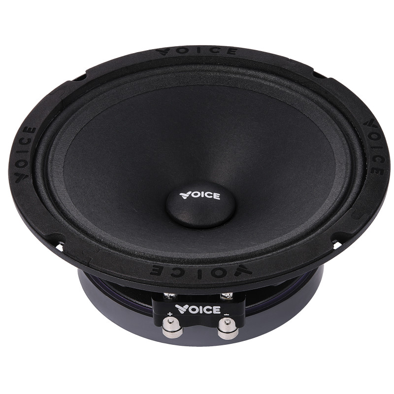 Естрадна акустика Voice SP-60A
