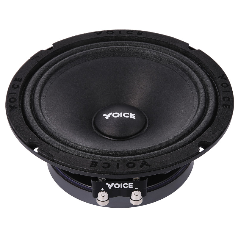 Естрадна акустика Voice SP-65 SQL