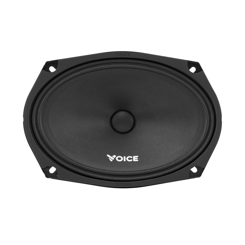 Естрадна акустика Voice ST-69
