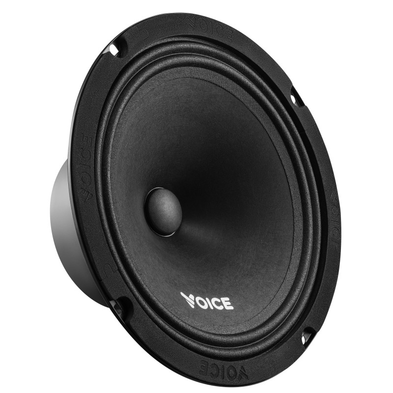 Естрадна акустика Voice ST-200
