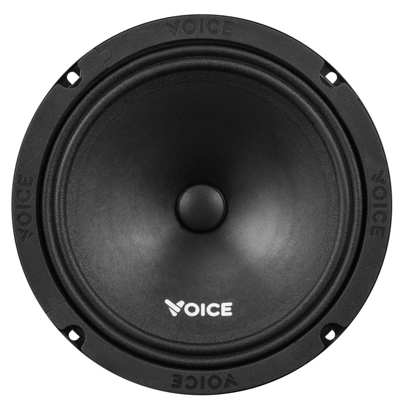 Естрадна акустика Voice ST-200