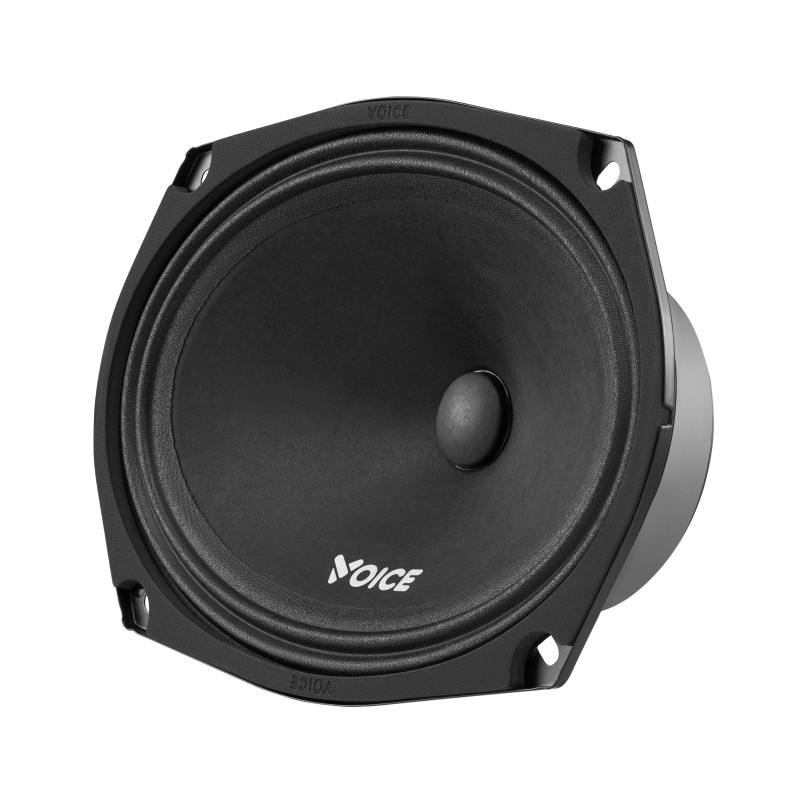 Естрадна акустика Voice ST-69