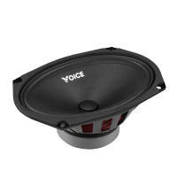 Естрадна акустика Voice ST-69