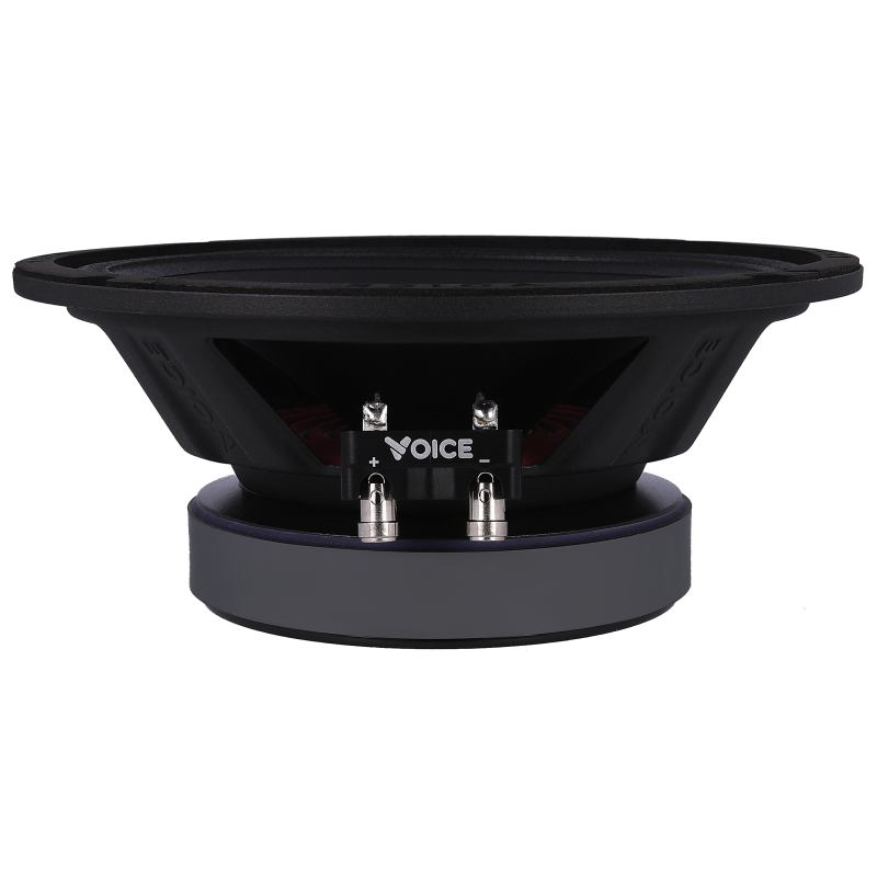 Естрадна акустика Voice SP-80A