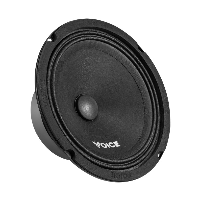 Естрадна акустика Voice ST-165
