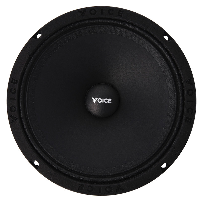 Естрадна акустика Voice SP-60A