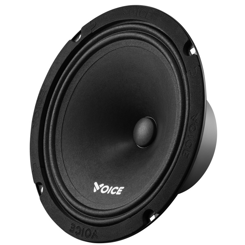 Естрадна акустика Voice ST-200