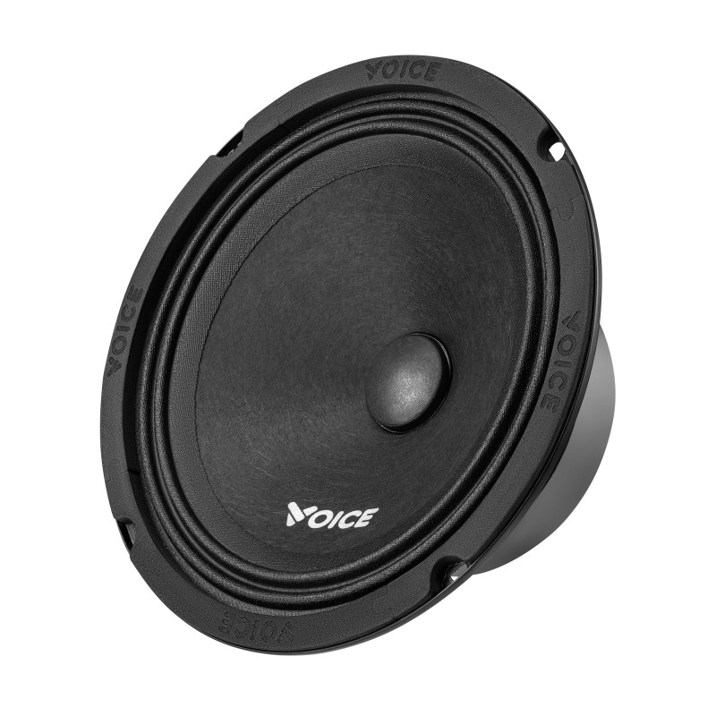 Естрадна акустика Voice ST-165