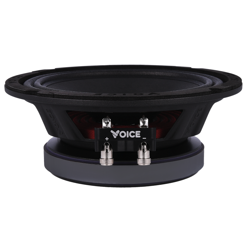 Естрадна акустика Voice SP-65 SQL
