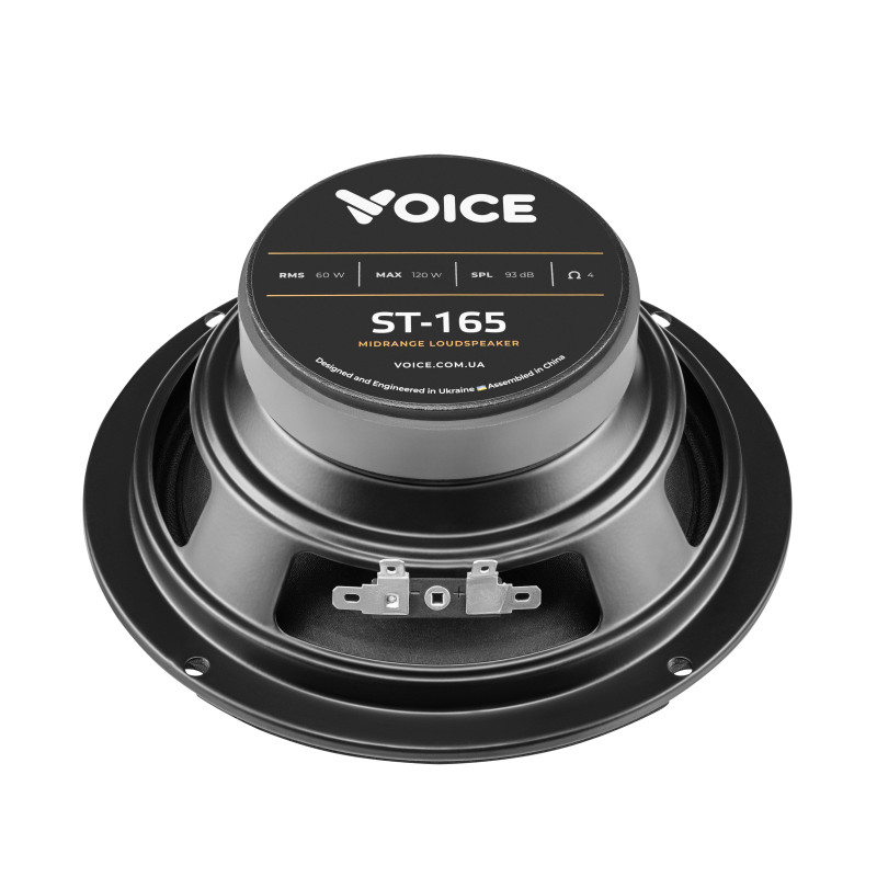Естрадна акустика Voice ST-165