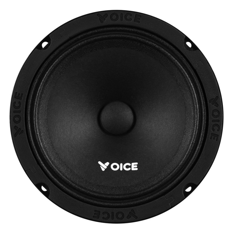 Естрадна акустика Voice PX-165